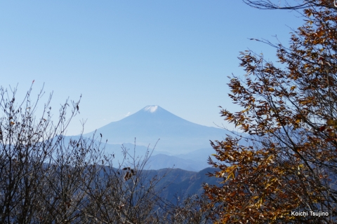 三頭山 (6)