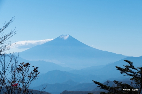 三頭山 (11)