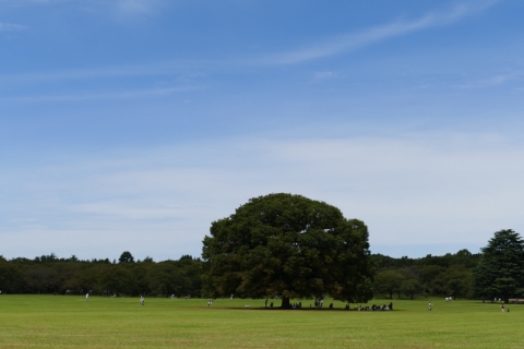 昭和記念公園-4