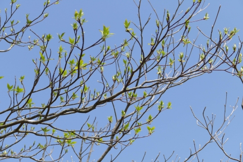 P1440702
