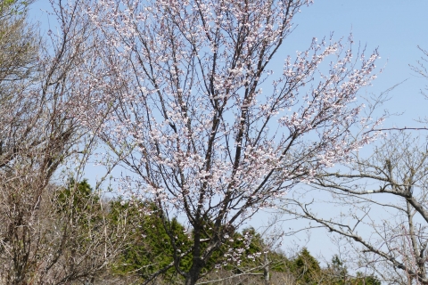 P1440728
