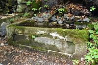  馬の水飲み場