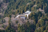  阿夫利神社