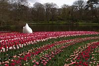  Keukenhof